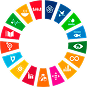 SDG icon